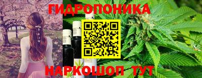 молекула духа Балашиха