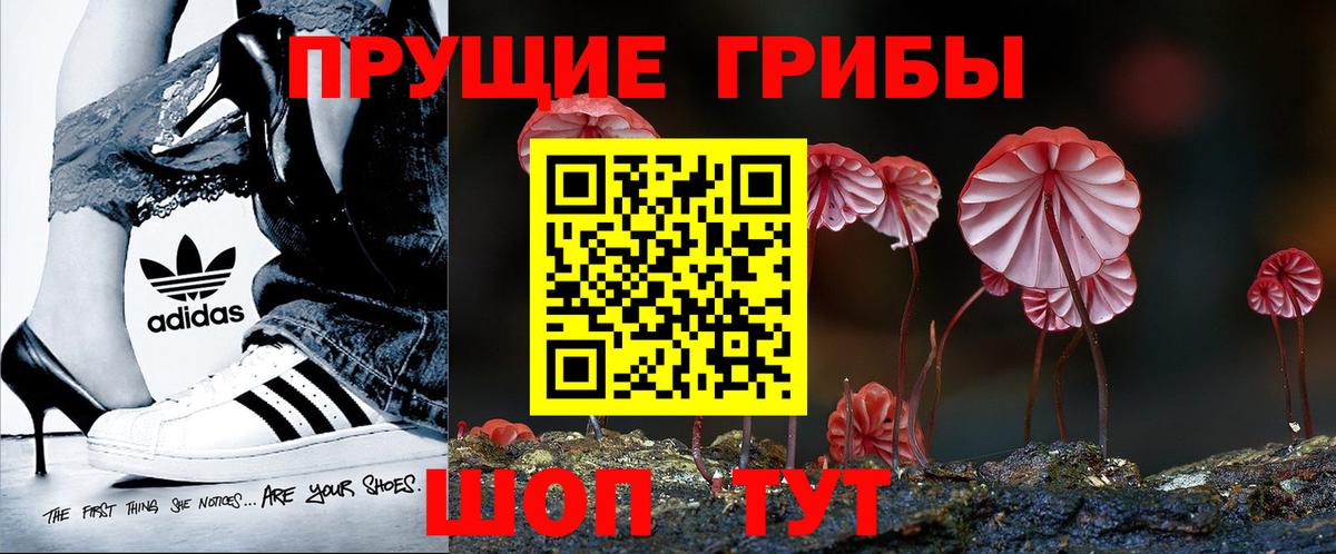 Галлюциногенные грибы GOLDEN TEACHER Дивногорск