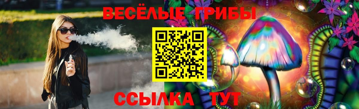 как найти   Псилоцибиновые грибы Psilocybine cubensis  Вход с VPN  Дивногорск 